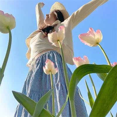 古宝争夺战海报