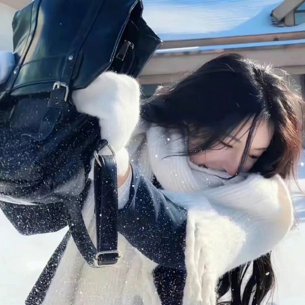 北园寻金记海报
