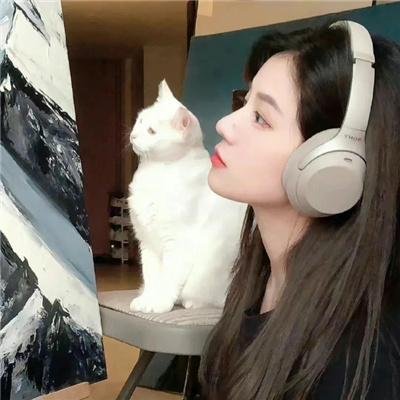 卧虎藏龙海报